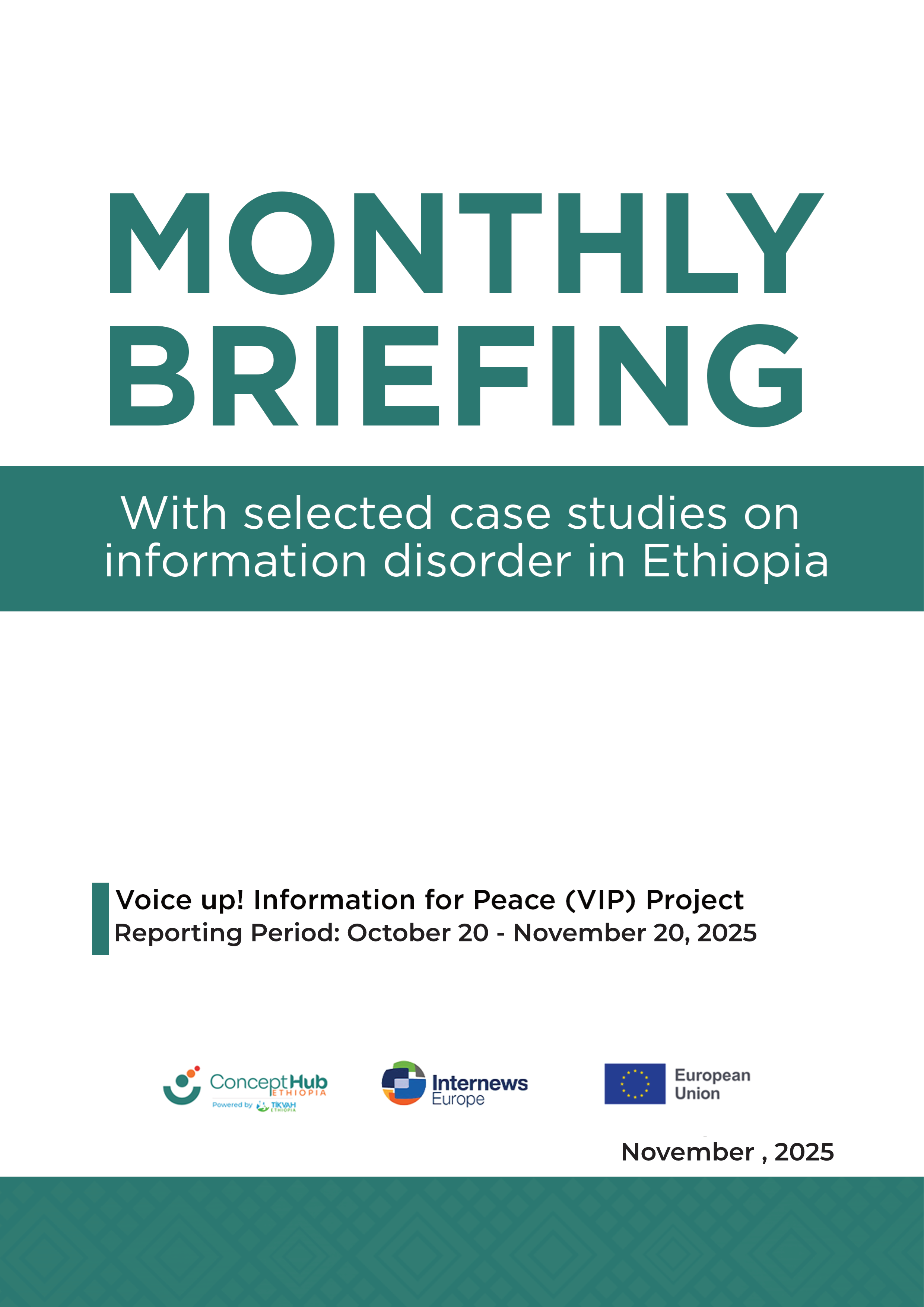 VIP Project Monthly Briefing - November